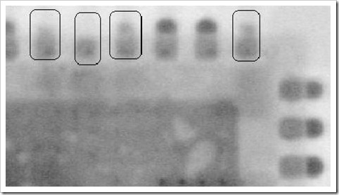 X-Ray 檢查QFN 焊錫3